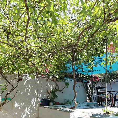 To Spitaki Apartments Galaxidi Exterior photo